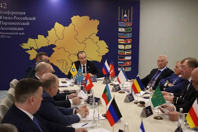 Совет Ассоциации ЮРПА  рассмотрел проект Положения   «Заслуженный парламентарий Юга России»